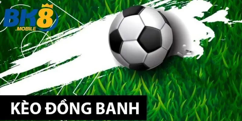 Mẹo soi Kèo đồng banh Bk8 cho người mới